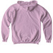 We Have the Power: Adult & Youth, a Light Pink Softstyle Youth Pullover Hoodie (back-view)