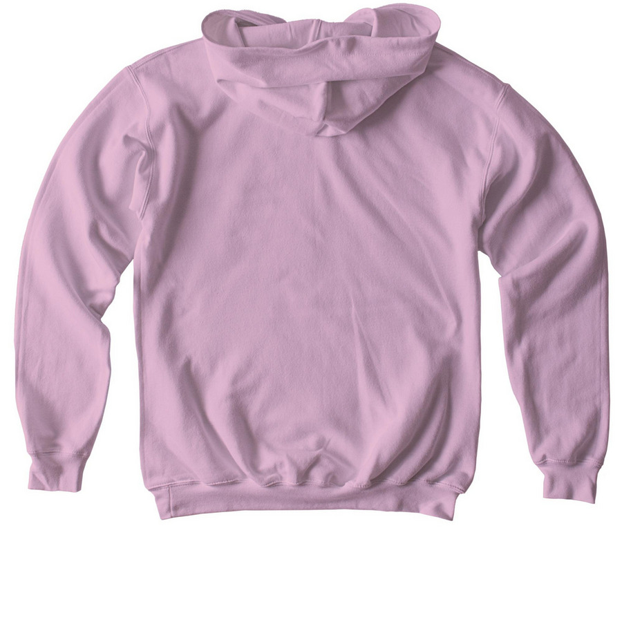 We Have the Power: Adult & Youth, a Light Pink Softstyle Youth Pullover Hoodie (back-view)