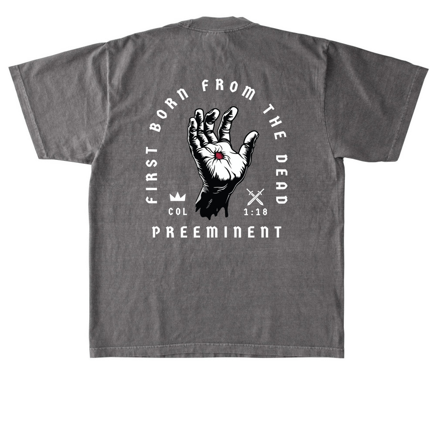 Preeminent, a Cement Heavyweight Garment Dye Tee (back-view)