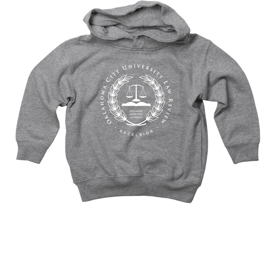 Law Review for Toddlers, a Granite Heather Toddler Pullover Hoodie