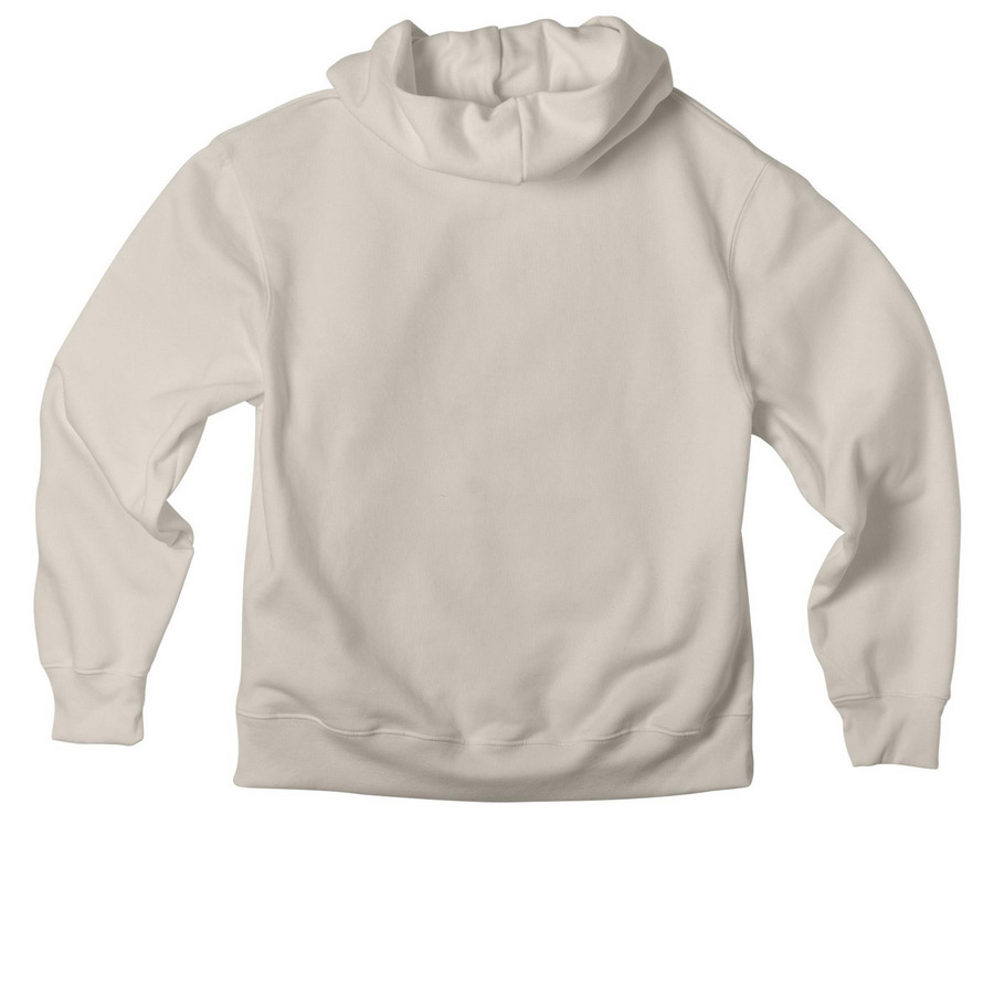 Rubato Juice Box Hoodie, a Dust Premium Heavyweight Pullover Hoodie (back-view)