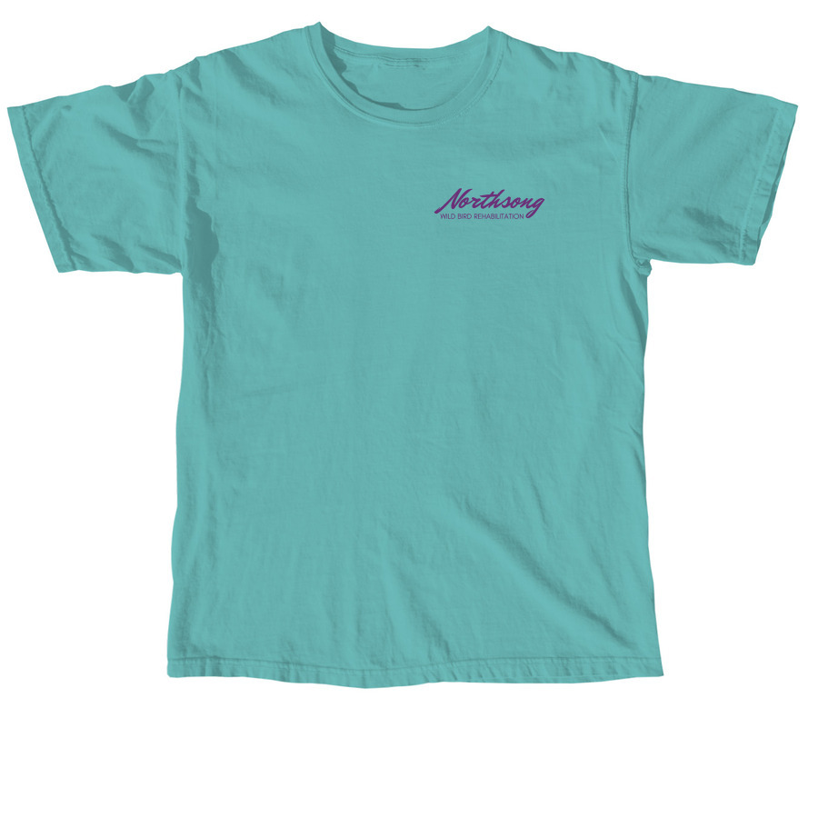 Apgar Apparel, a Seafoam Comfort Colors Unisex Tee