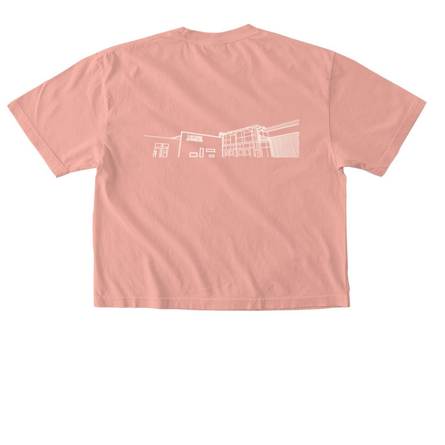 SPECIAL NEEDS Fall Shirts, a Peachy Comfort Colors Boxy Tee (back-view)