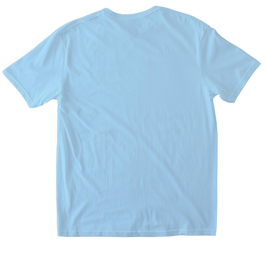 Seeing Stars & Stripes, a Light Blue Softstyle Cotton Tee (back-view)