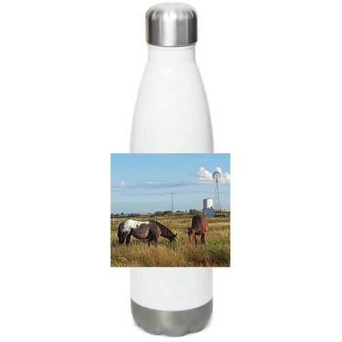 The Horses, a White Stainless Steel Water Bottle