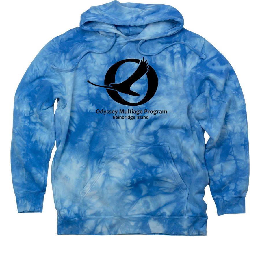 Black Logo Shirts, a Aqua Blue Tie Dye Pullover Hoodie