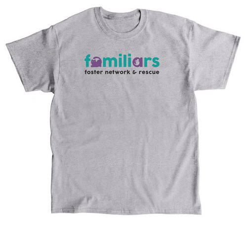 FFNR Color Logo, a Sport Grey Classic Unisex Tee