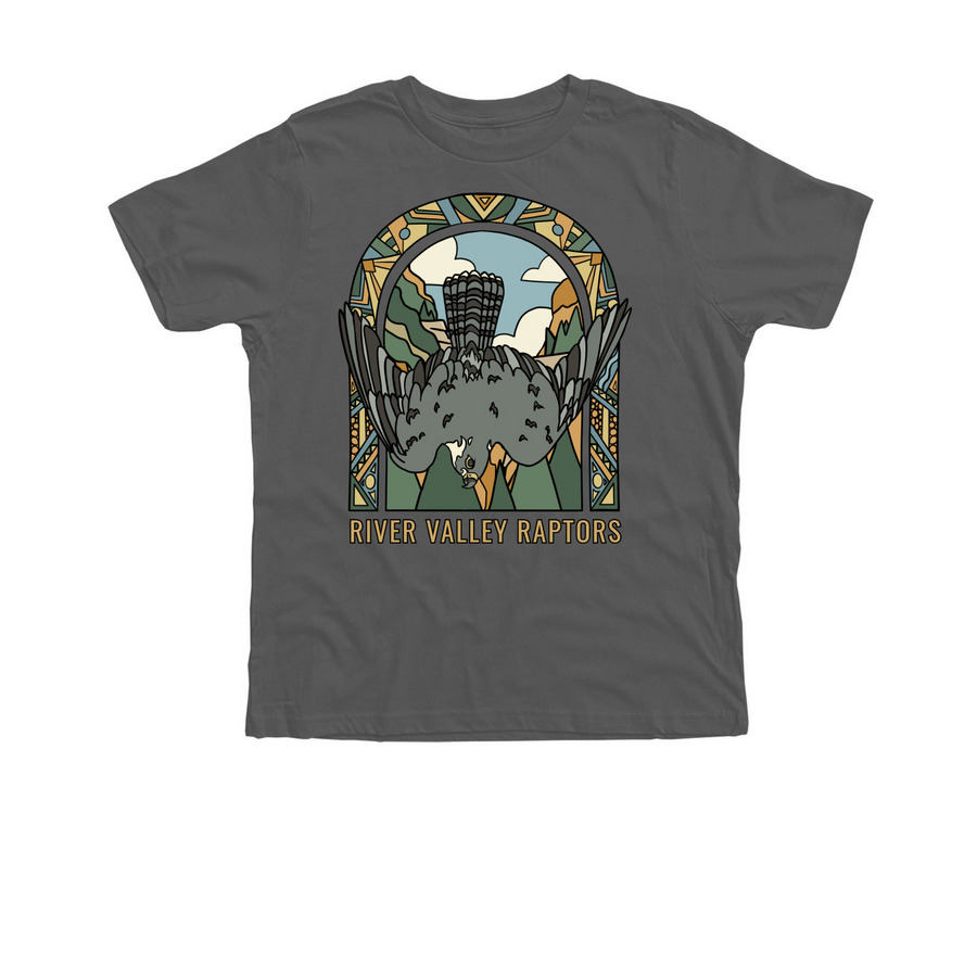 Summer Sun: Peregrine Falcon, a Asphalt Premium Cotton Youth Tee