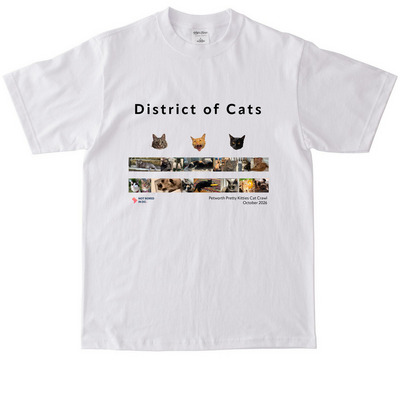 District of Cats Shirts, a White Max Heavyweight Tee