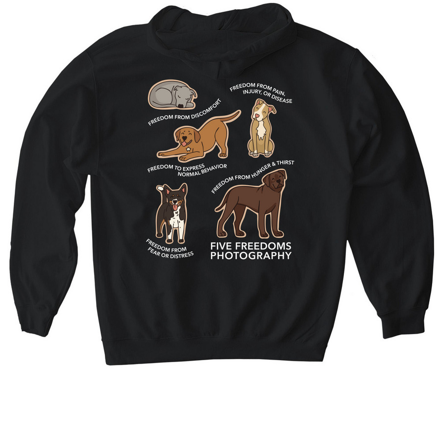 Five Freedoms X Meredith Canty, a Black Gildan Softstyle Pullover Hoodie (back-view)