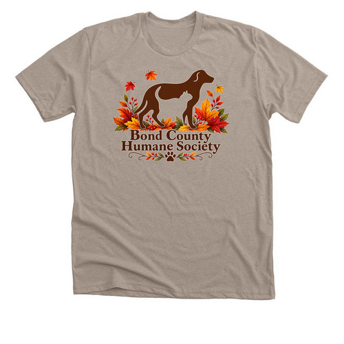 Fall Logo, a Heather Stone Premium Unisex Tee