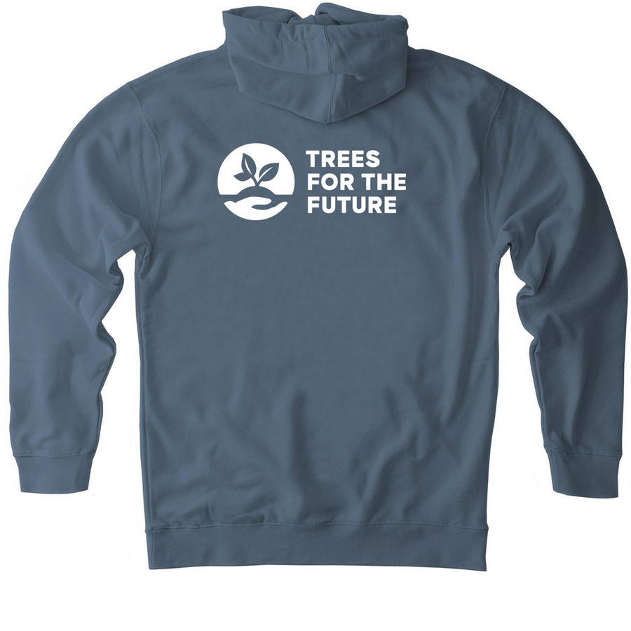Stand For Collection, a Storm Blue Heavyweight Pullover Hoodie (back-view)