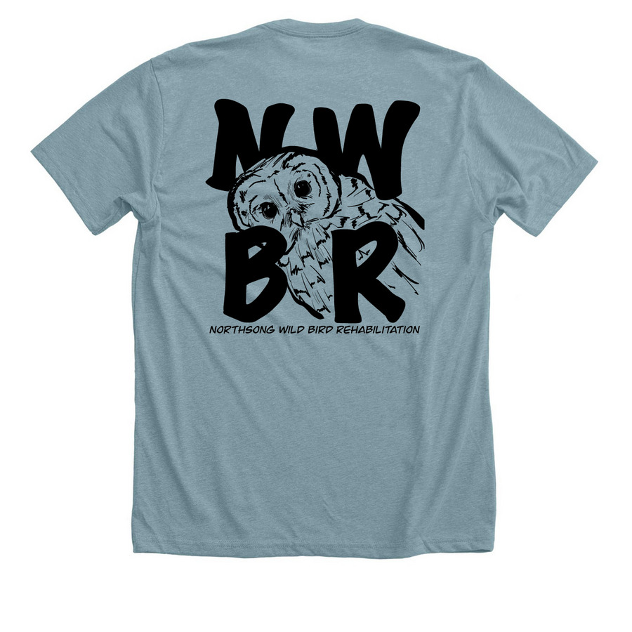 *NWBR Limited Edition Winter Design*, a Heather Blue Lagoon Premium Unisex Tee (back-view)