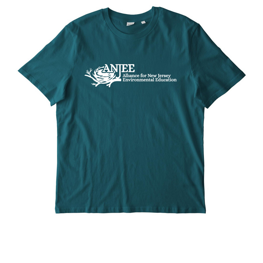 ANJEE Has Merch!, a Stargazer Stanley/Stella Unisex Creator 2.0 Tee