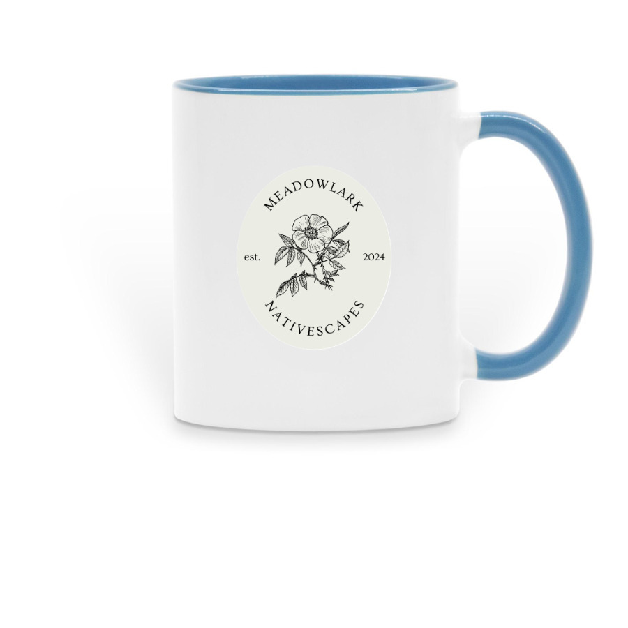 The Mug, a Light Blue Two-Tone Ceramic Mug