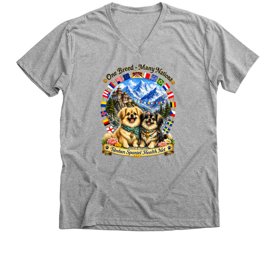 Tibbies Worldwide, a Athletic Heather Premium V-Neck Tee