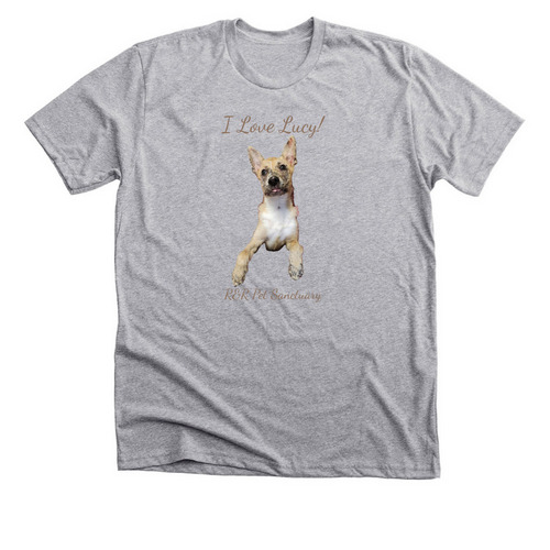 I Love Lucy!!!, a Athletic Heather Premium Unisex Tee