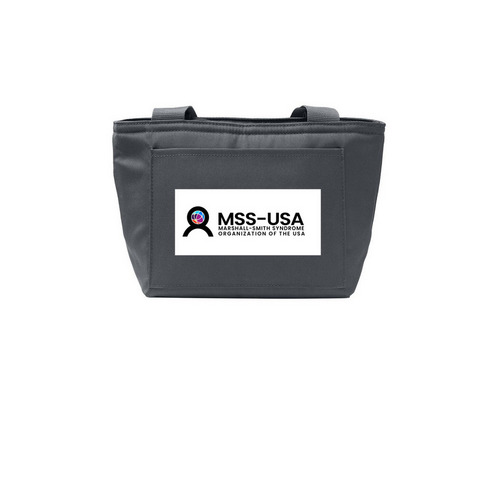 Insulated Lunch Tote, a Grey Steel Insulated Lunch Tote