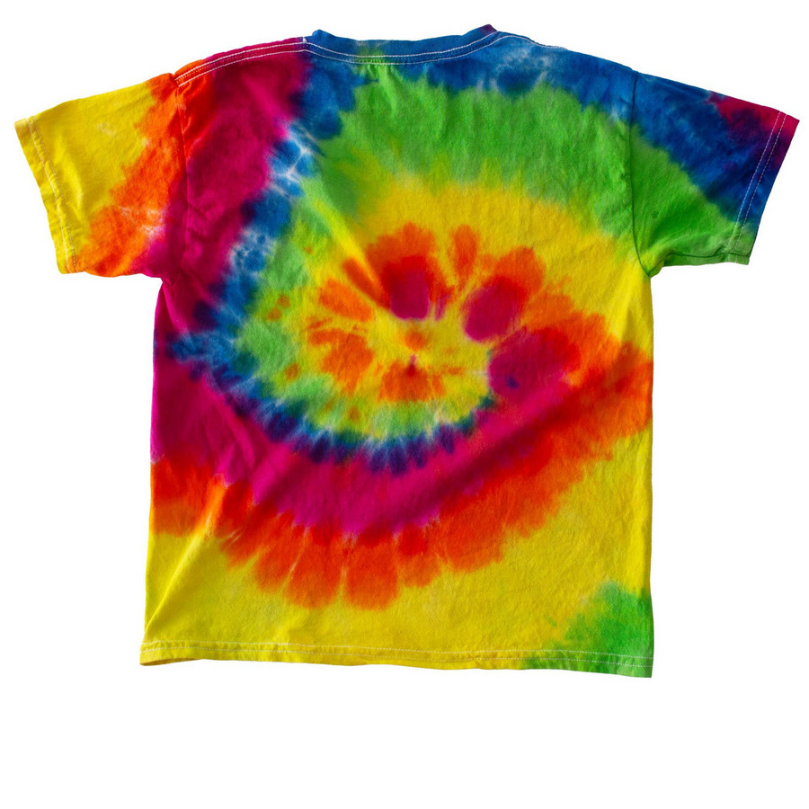 Cousin Camp 2026, a Moondance Youth Tie Dye Tee (back-view)
