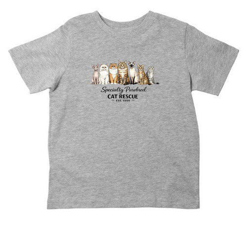 SPCR Toddler, a Heather Toddler Tee