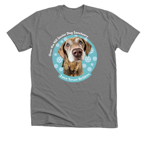 Love Never Retires-In Memory of Sundance, a Deep Heather Premium Unisex Tee