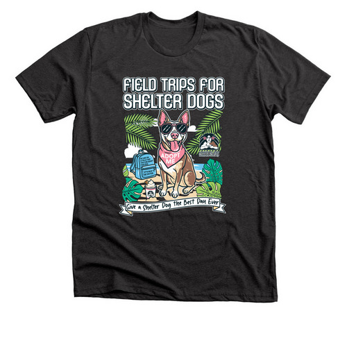 Field Trips for Shelter Dogs, a Dark Grey Heather Premium Unisex Tee