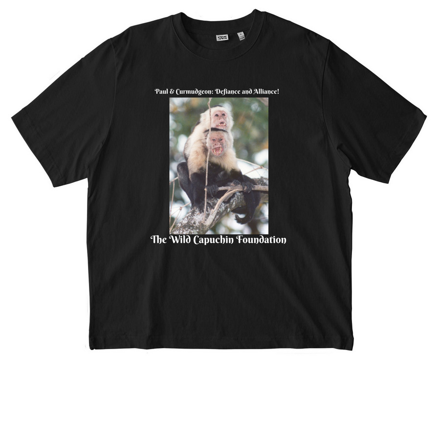 Curmudgeon: Legendary Leader, a Black Stanley/Stella Unisex Freestyler Heavyweight Tee