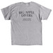 Big Apple Divers Apparel, a Sport Grey Classic Unisex Tee (back-view)