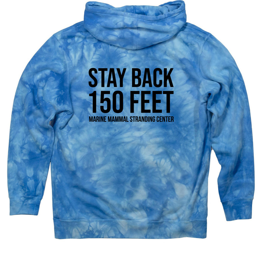 Respect The Locals-light colors, a Aqua Blue Tie Dye Pullover Hoodie (back-view)