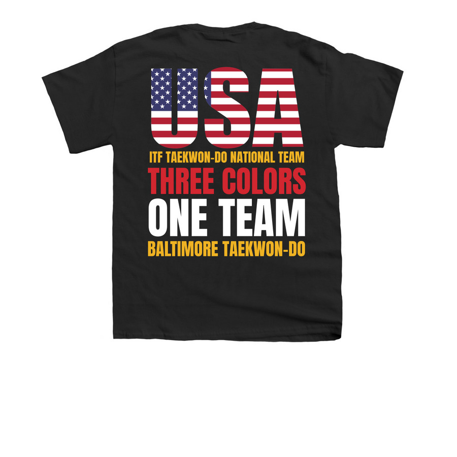 USA-3 Colors, 1 Team, a Black Youth Unisex Tee (back-view)