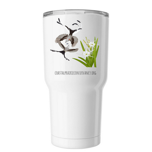 Limited Edition: Scissor-Tailed Flycatchers, a White Insulated Tumbler