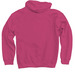 Caffeinated & Critical, a Heliconia Pullover Hoodie (back-view)