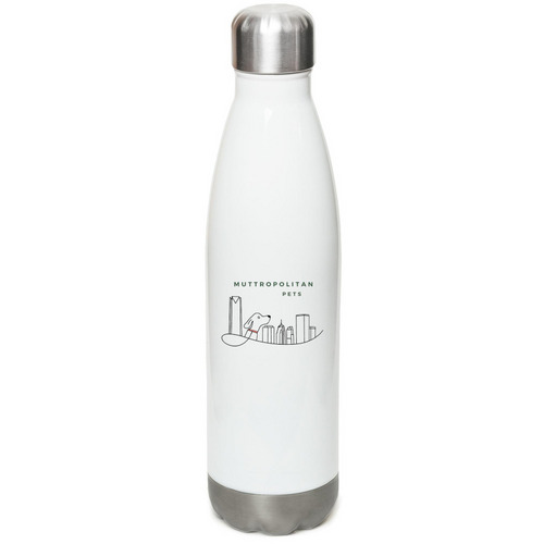 Water Bottle, a White Stainless Steel Water Bottle