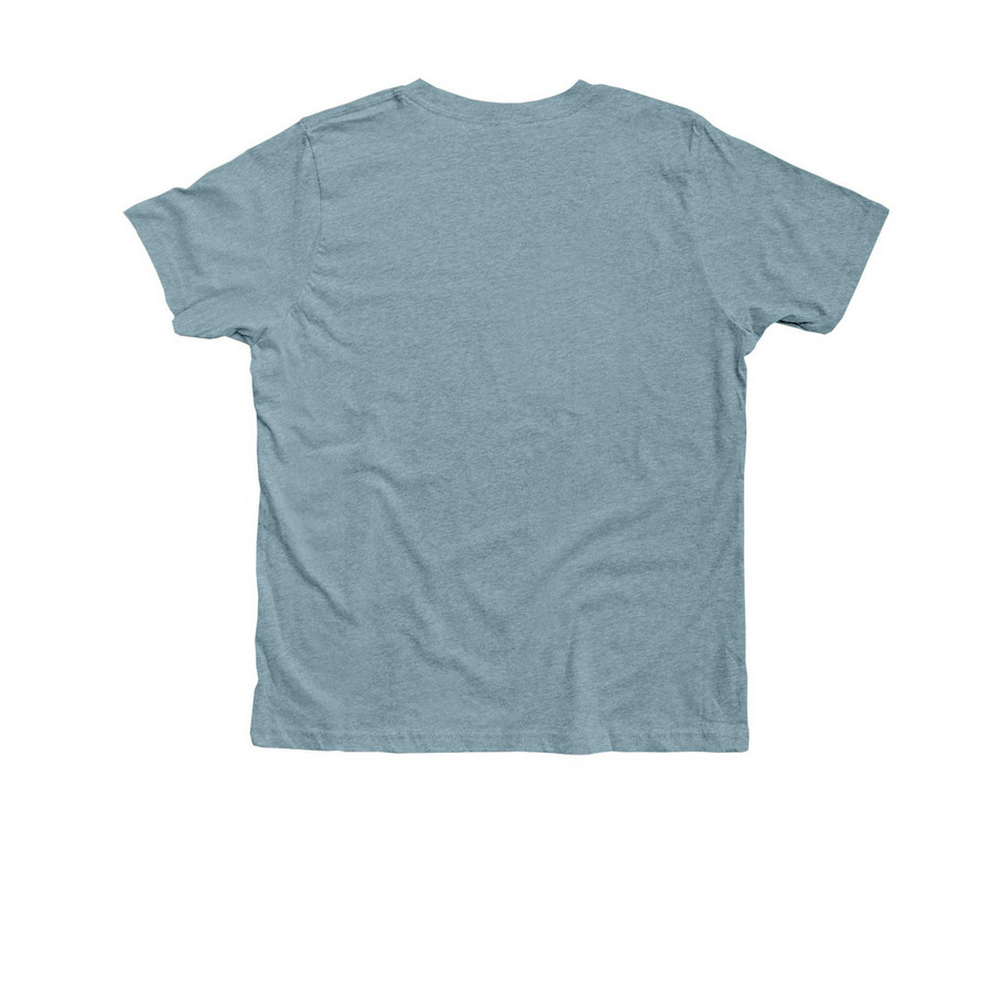 Youth RVC Spirit Wear, a Heather Blue Lagoon Premium Youth Tee (back-view)
