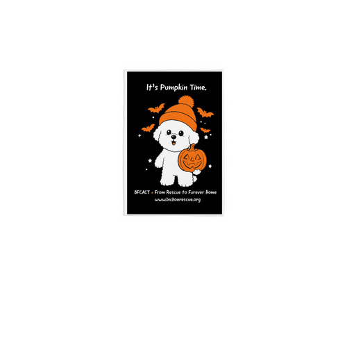 BFCACT Pumpkin Time, a White 12" x 18" Yard Flag