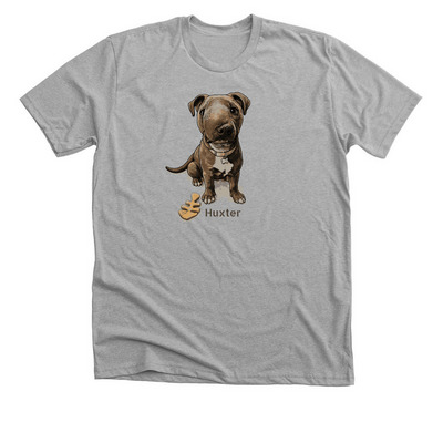 Help Huxter, a Athletic Heather Premium Unisex Tee