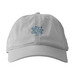 Celebrating 10 Years of Teach Access, a Dolphin Printed Eco Baseball Cap
