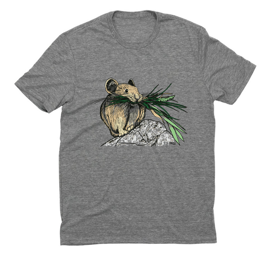Alliance Apparel: Pika, a Aluminum Grey Allmade Eco Triblend Unisex Tee