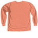 Halloween Springers, a Terracotta Comfort Colors Long Sleeve Tee (back-view)