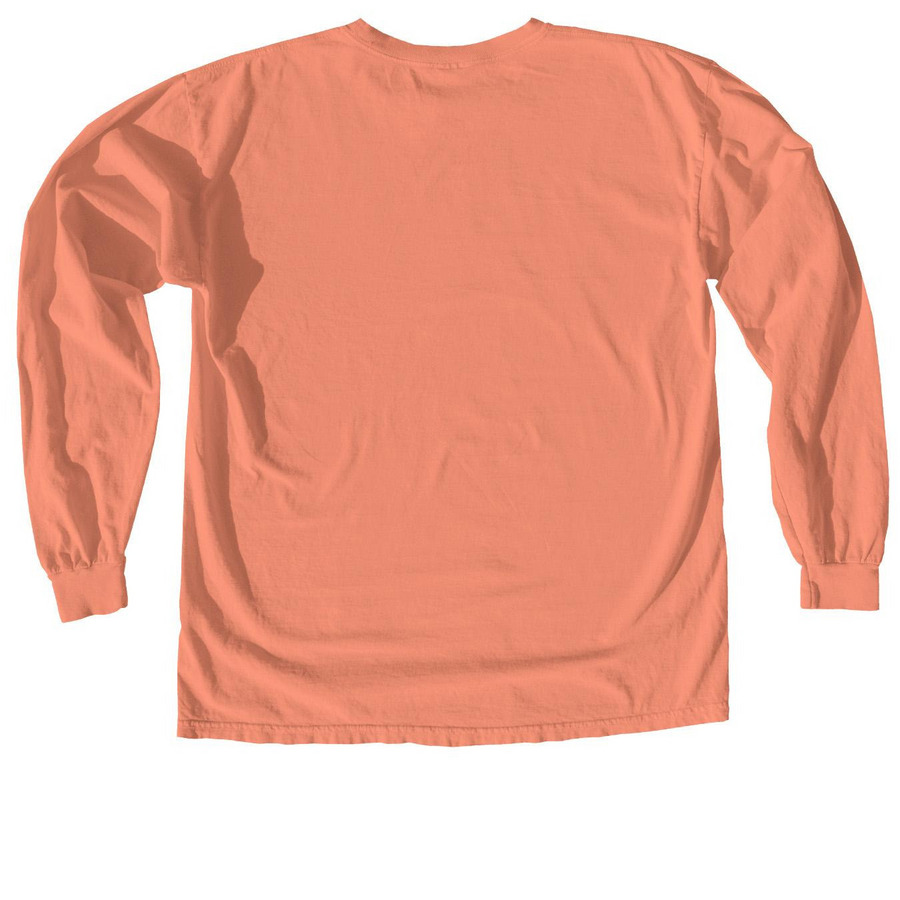 Halloween Springers, a Terracotta Comfort Colors Long Sleeve Tee (back-view)