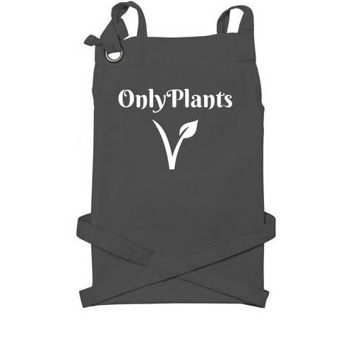 Only Plants Vegan Apron, a Dark Grey Cotton Canvas Pocket Apron