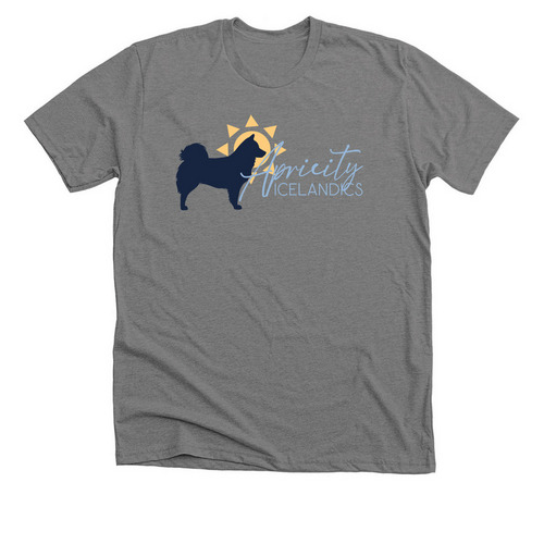 Apricity Logo Front, a Deep Heather Premium Unisex Tee