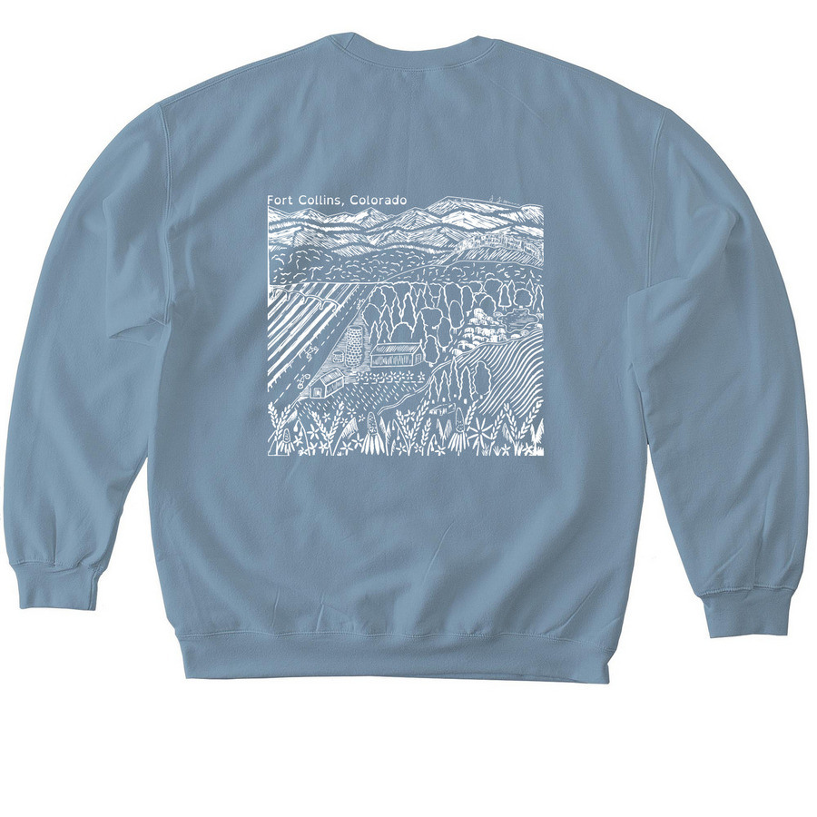 Follies Bingham Sweatshirt, a Stone Blue Softstyle Crewneck Sweatshirt (back-view)