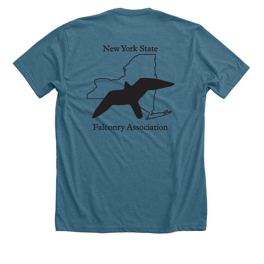 NYSFA Annual Field Meet 2026, a Heather Deep Teal Premium Unisex Tee (back-view)