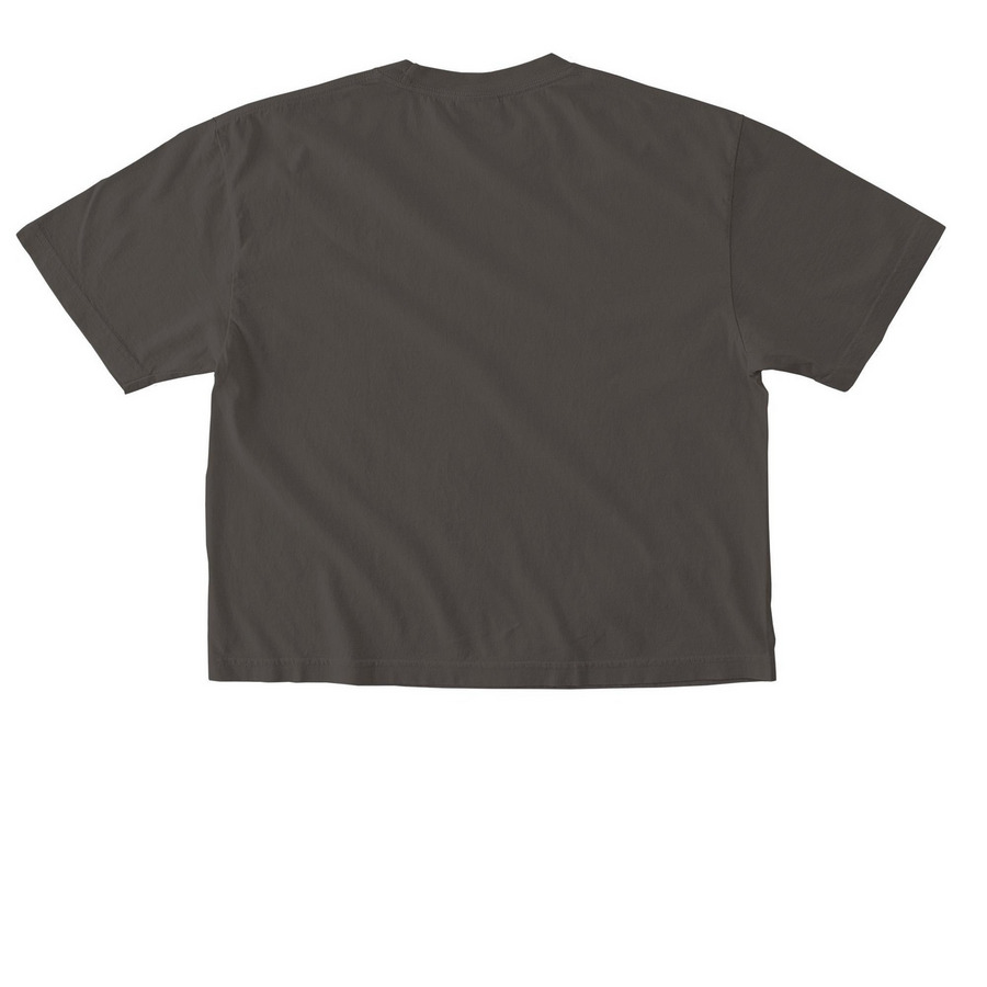 WTS Boxy Tee, White Logo, a Pepper Comfort Colors Boxy Tee (back-view)