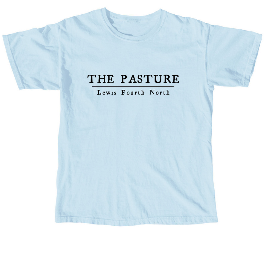 L4N T-Shirt, a Chambray Comfort Colors Unisex Tee