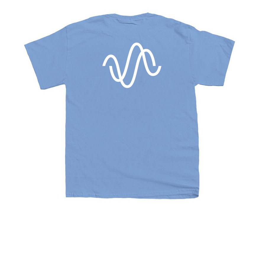 The Twists shirt, a Carolina Blue Youth Unisex Tee (back-view)