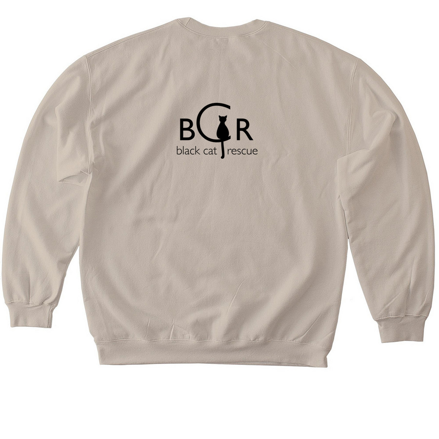 BCR Winter 2024 Shirt, a Sand Softstyle Crewneck Sweatshirt (back-view)