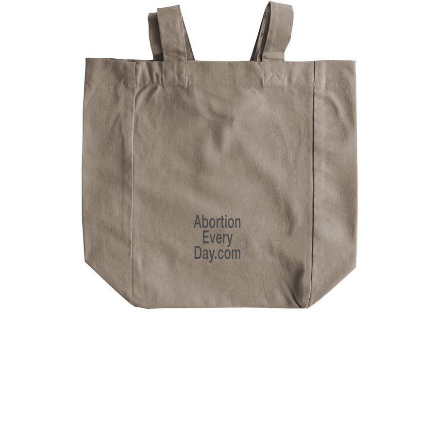 Moms Against Abortion Bans Tote, a Pumice Recycled Cotton Tote Bag (back-view)