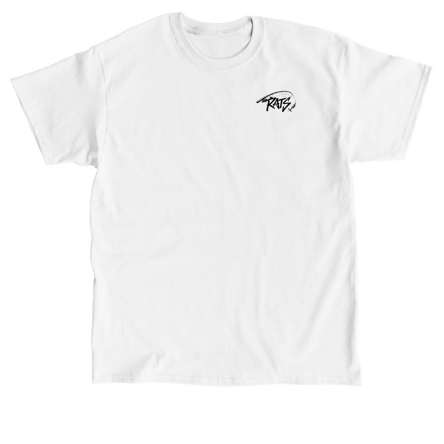 USA Graphic Tee, a White Classic Unisex Tee